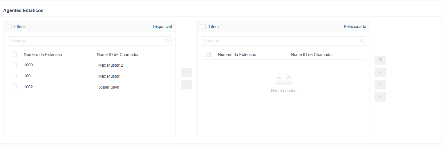 queue-member-static-agent-pt.png